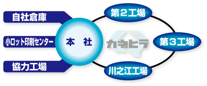 カネヒラのネットワーク